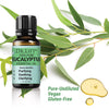 Dr. Lift® Eucalyptus Essential Oil